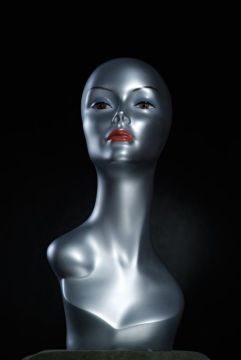 mannequin heads