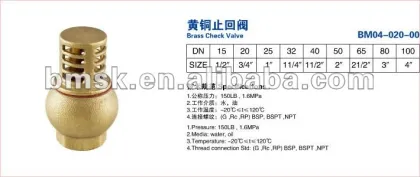 brass check valve, valve, check valve, brass valve, air compressor check valve, swing check valve, spring check valve