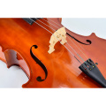 Adultos iniciantes feitos artesanais com violoncelo brilhante