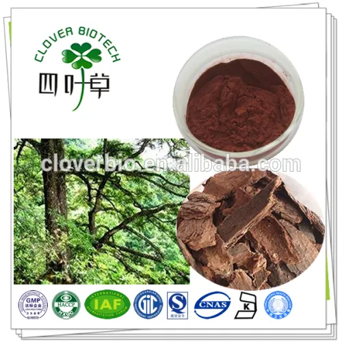 95 Natural Proanthocyanidins Pine Bark Extract Cancer, High Quality 95