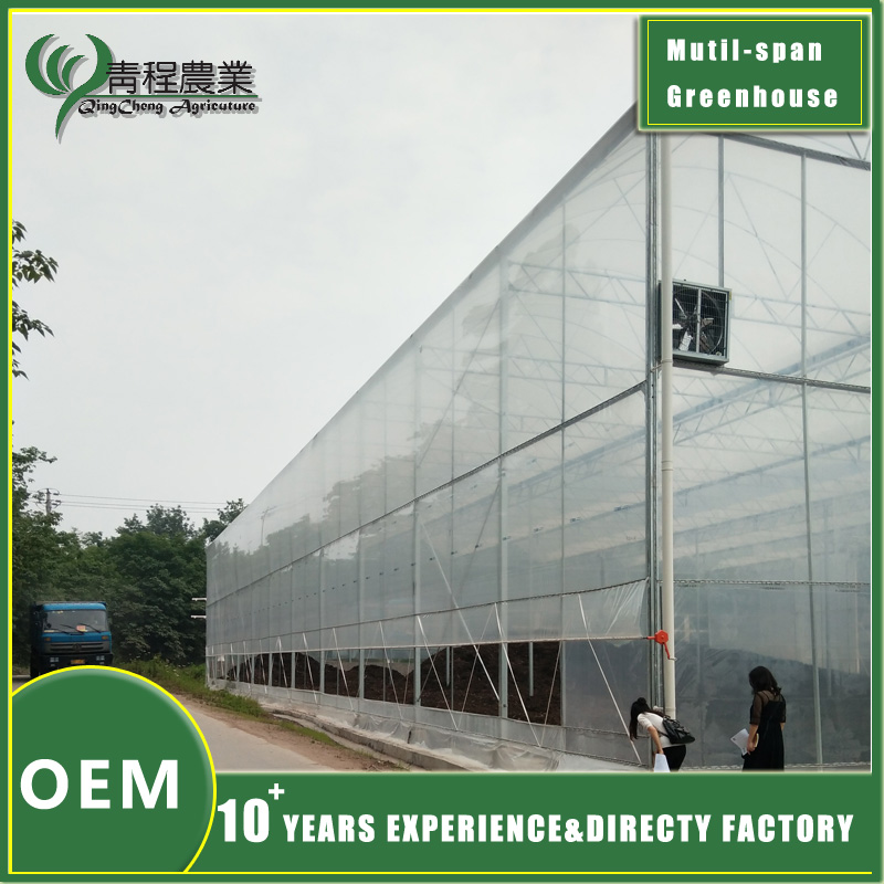 Multi span Greenhouse With Cooling System