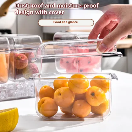 Transparent Plastic Multi-Grid Preservation Box with Detachable Ice Storage
