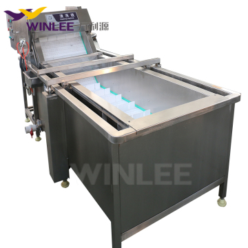 Customized Bubble Washing Machine for Seafood and Fish Cleaning