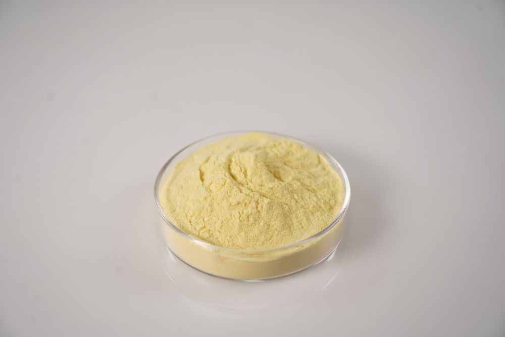 Natural Spray Dried Orange Fruit Powder