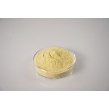 Natural Spray Dried Orange Fruit Powder