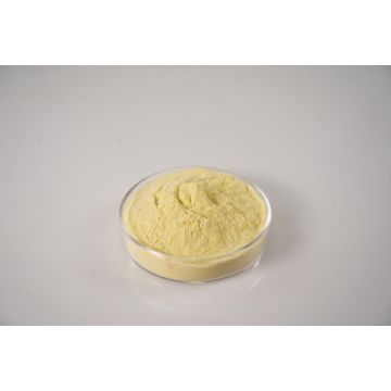 Natural Spray Dried Orange Fruit Powder