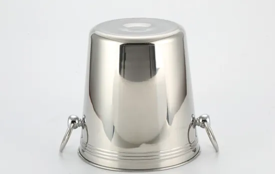 Elegantly Designed Ice Bucket