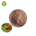 Natural Mao Dong Qing Pubescent Holly Root Extract