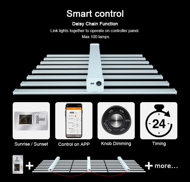 led grow grow light