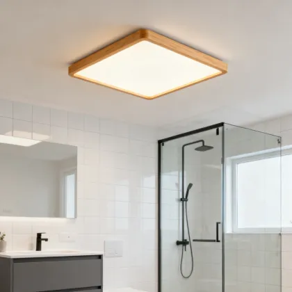 Ceiling Light with Night Light Mode