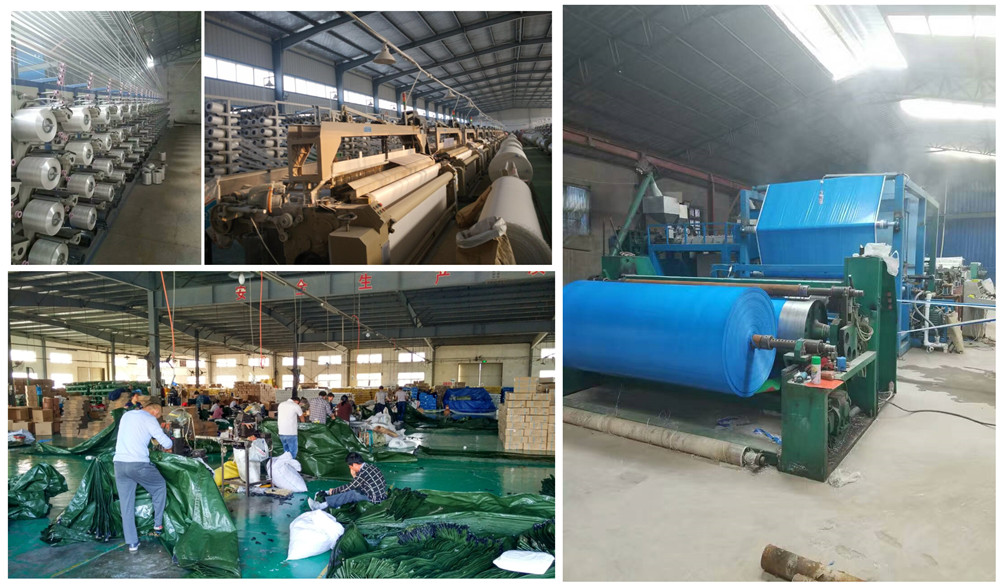 PE tarpaulin hebei tuohua factory