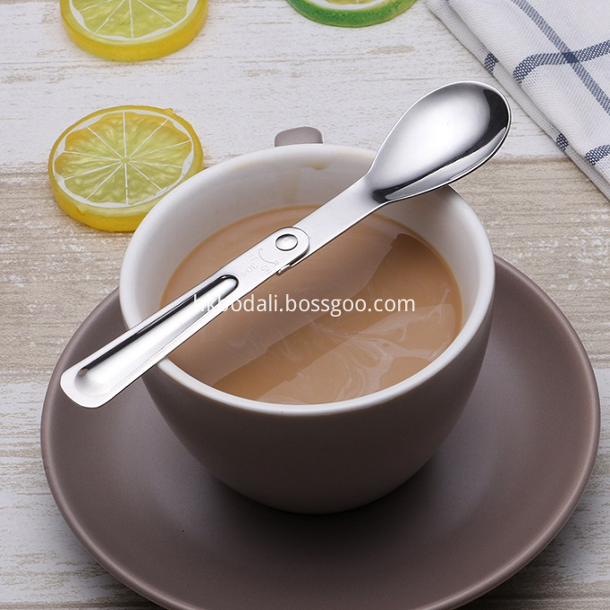 Stainless Steel Spoon