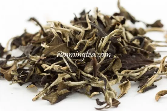 Old Tree Moonlight White Tea