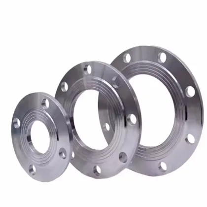 Stainless Steel plate flange