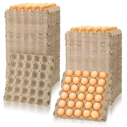 Green Paper Egg Tray for Safe Egg Storage