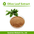 Natürlicher Olivenblatt -Extraktpulver Preis