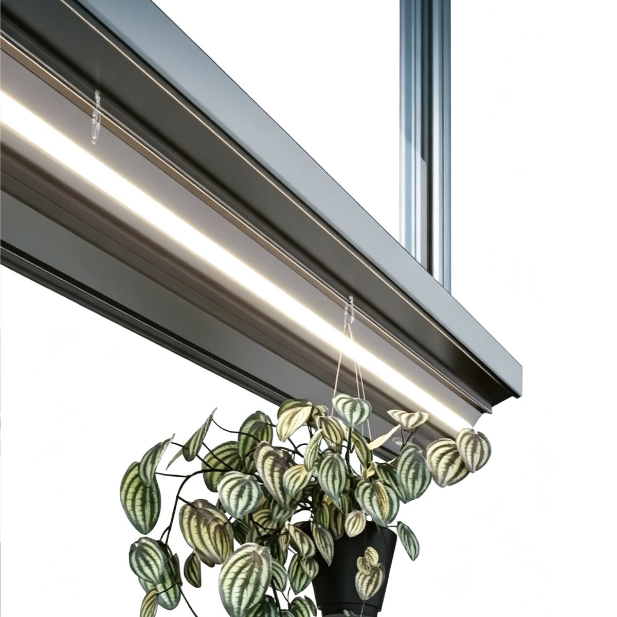 Imagen detallada de la ventana corrediza de vidrio.