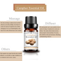 Pure and Natural Best Selling Camphor Essential Oil at Wholesale Price