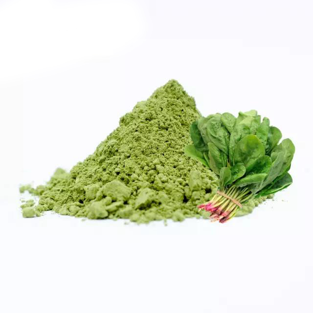 High Quality Spinach Powder