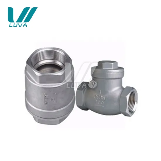 stainless steel threaded spring and swing check valve