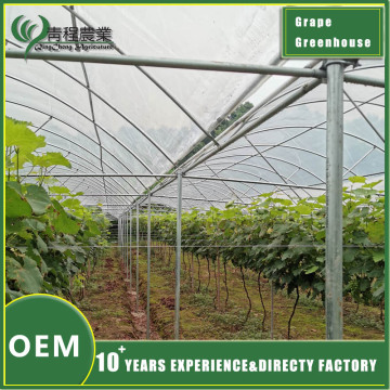 Канструкцыя і будова вінаграднай цяпліцы