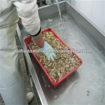 best cooking and iqf mussels frozen