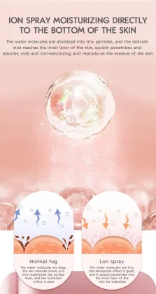 Thermo Spray Hot Spray Ionic Facial Steamer