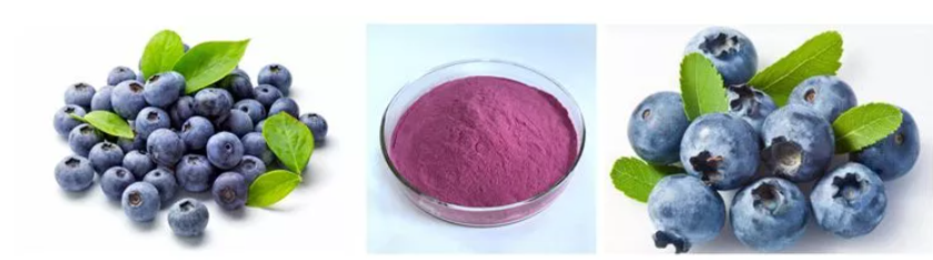 BlueBerry Juice Powder