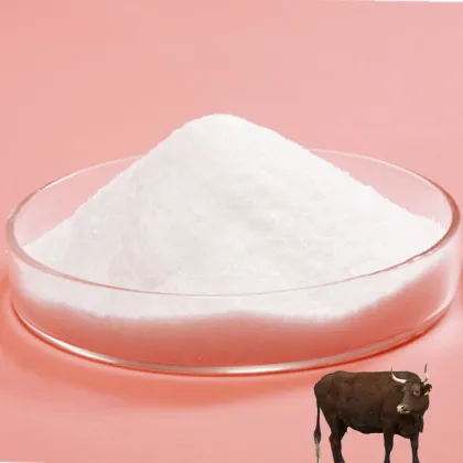 Body Health Care Chondroitin Sulfate White Powder