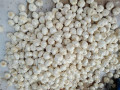 Alho branco puro 5.0cm de alta qualidade