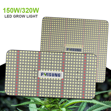 PVISUNG Quantum Board For Plant