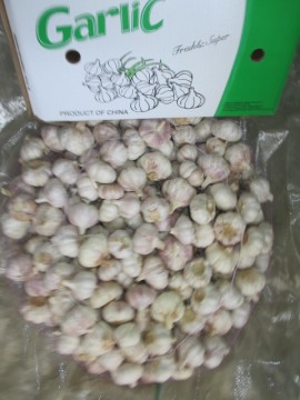 Normal White Garlic 2020