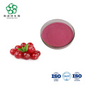 100% Pure Natural Cranberry Extract Powder