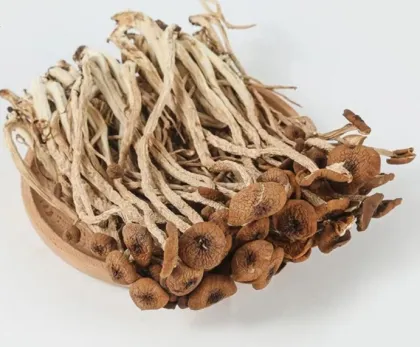 Air Dried Organic Tea Tree Shitake Mushrooms