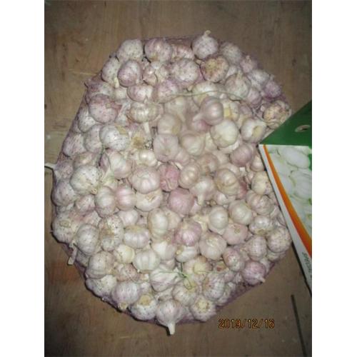 2019 Normal White Garlic Fresh Wholesale