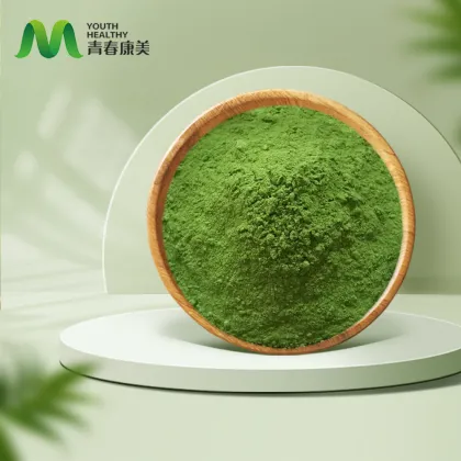 Buy The Best Pure Wheat Grass Powder