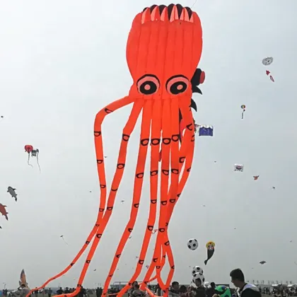 New Design Fish Kite & Inflatable Show Octopus Kite - 3D Animal Shape Soft Kites from Factory Supply