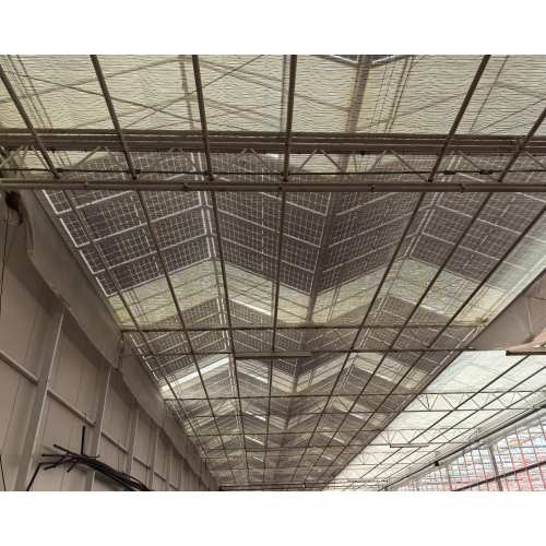 Photovoltaic Glass Power Generating Greenhouse