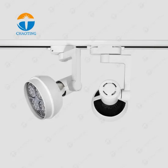 High Quality Indoor Track Spot Light Fixtures Metal Housing Luxury Hotel Project Surface Mount Ceiling Led Horn Down Light Par30