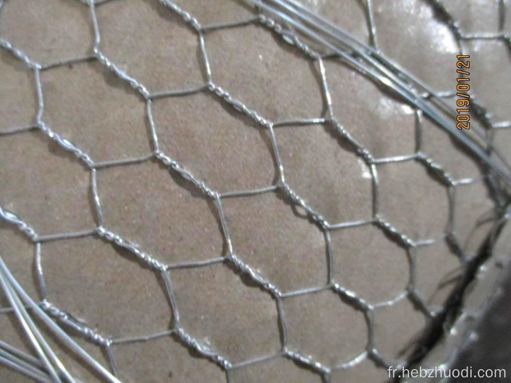 Mesh de fil de poulet hexagonal galvanisé de haute qualité