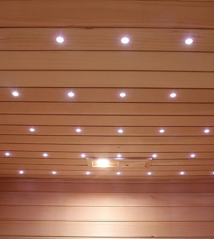 Traditional indoor sauna room