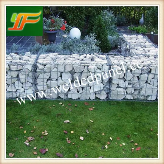 Hot Sale Home Depot Wire Mesh Gabions (Lage ISO Factory)