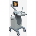 Widely Used Trolley Color Doppler Ultrasound Machine