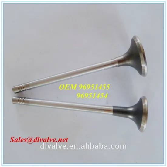 ENGINE VALVE FOR WINSTORM PARTS NO.96951454 96951455