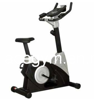 Commercial Upright Bike (AG-803)