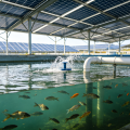 Refugio fotovoltaico para estanques de acuicultura