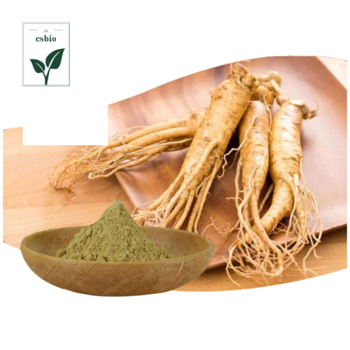 High Quality Ginseng Root Extract