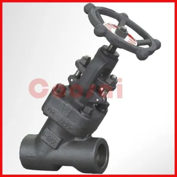 1inch 800lb forged Y globe valve