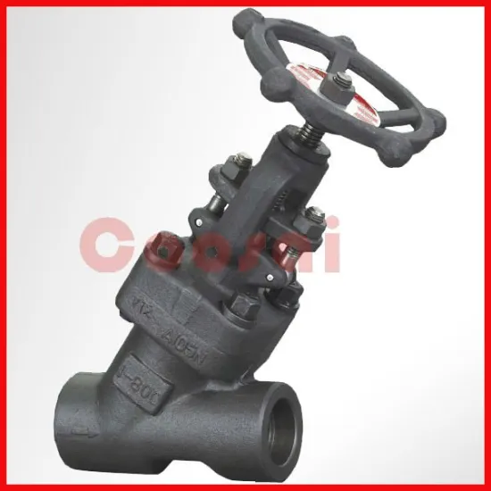 1inch 800lb forged Y globe valve