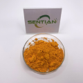 High-quality food-grade pumpkin powder